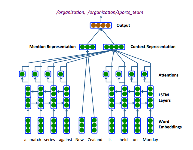 model structure